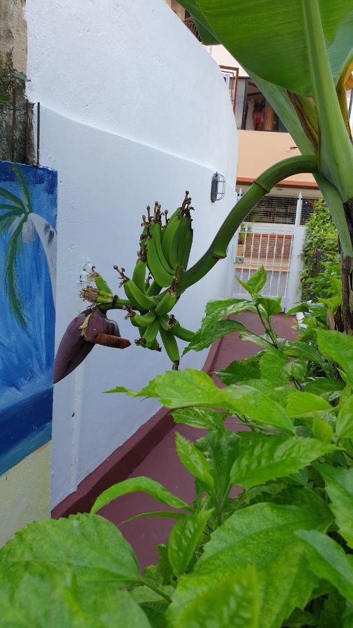 Playa Blanca Bed And Breakfast Bayahibe Esterno foto